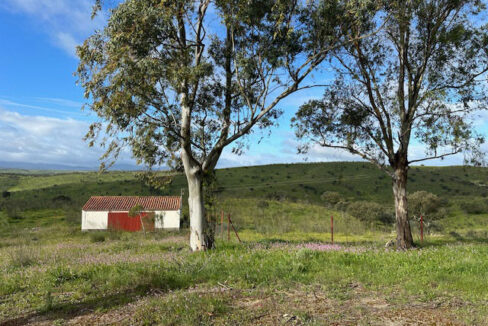 finca-ganadera-en-valencia-de-alcantara11