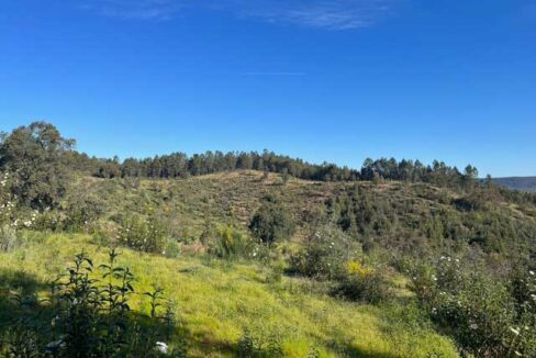 finca-de-21-hectareas-en-badajoz01