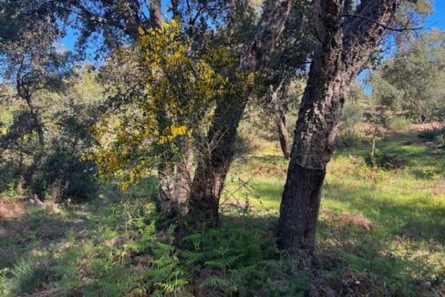 finca-de-21-hectareas-en-badajoz13