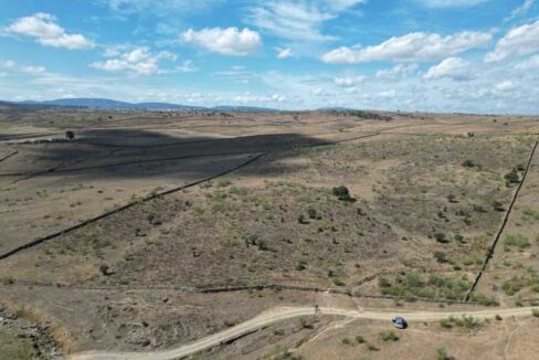 finca-vallada-en-valencia-de-alcántara2