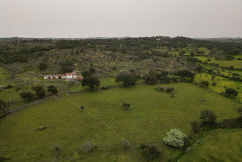 Finca-de-21-hectáreas-con-vivienda-en-Valencia-de-Alcántara01