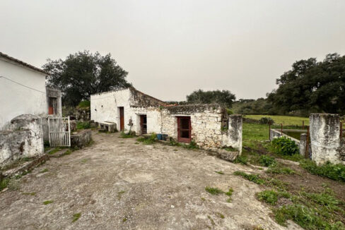 Finca-de-21-hectáreas-con-vivienda-en-Valencia-de-Alcántara10