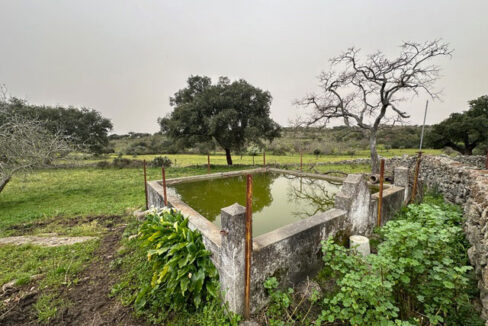 Finca-de-21-hectáreas-con-vivienda-en-Valencia-de-Alcántara11