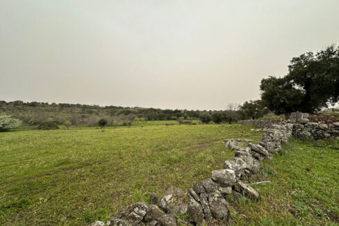 Finca-de-21-hectáreas-con-vivienda-en-Valencia-de-Alcántara12