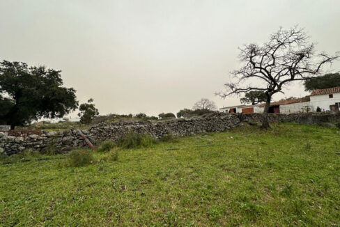 Finca-de-21-hectáreas-con-vivienda-en-Valencia-de-Alcántara13