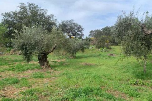 finca-rústica-en-san-vicente-de-alcántara13