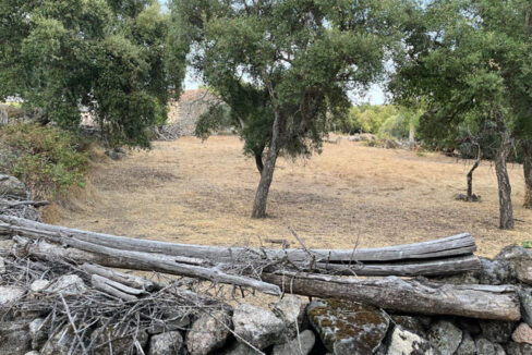 finca-en-zona-de-balbon-valencia-de-alcantara02