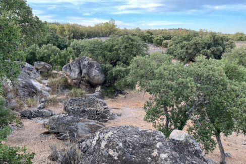 finca-en-zona-de-balbon-valencia-de-alcantara04