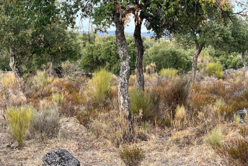 finca-en-zona-de-balbon-valencia-de-alcantara08