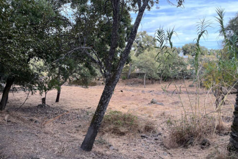 finca-en-zona-de-balbon-valencia-de-alcantara10