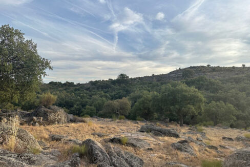 finca-en-zona-de-balbon-valencia-de-alcantara11