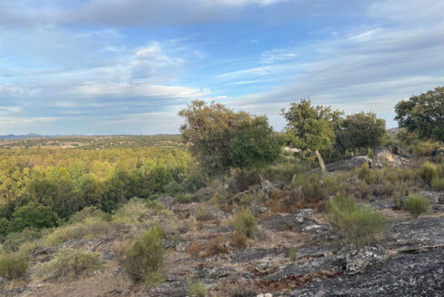 finca-en-zona-de-balbon-valencia-de-alcantara13