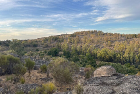 finca-en-zona-de-balbon-valencia-de-alcantara14