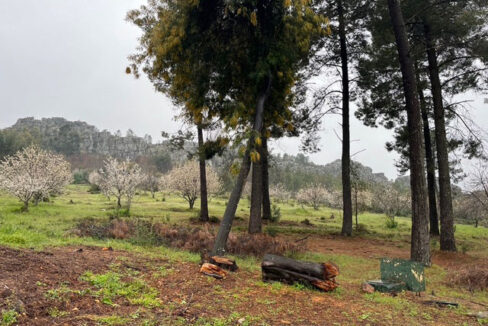 alquiler-de-finca-en-valencia-de-alcantara02