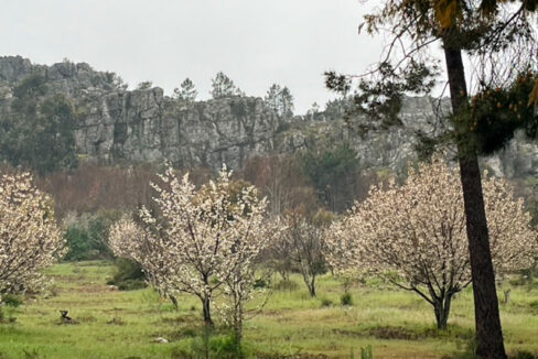 alquiler-de-finca-en-valencia-de-alcantara04