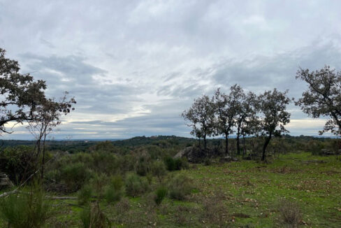 finca-muy-cercana-a-valencia-de-alcántara03