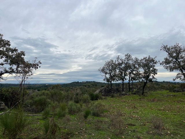 finca-muy-cercana-a-valencia-de-alcántara03