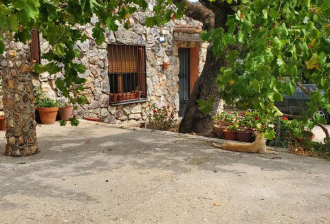 finca-rústica-en-cabañas-del-castillo08