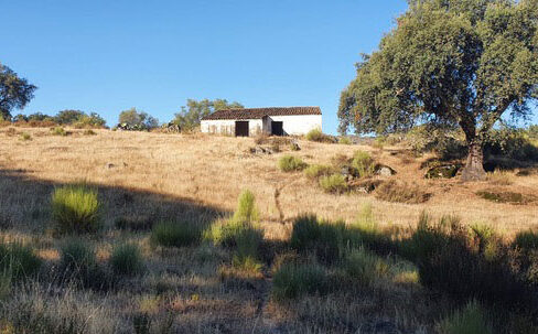finca-en-la-vega-san-vicente-de-alcántara05